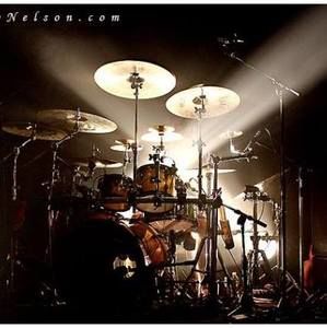 Meet your Posher, Sammy